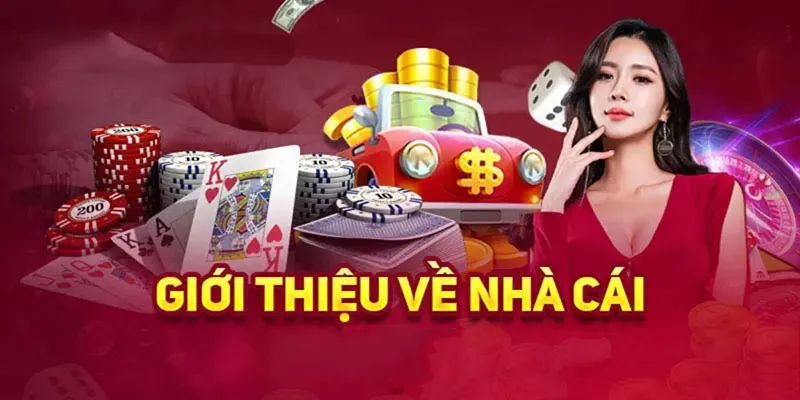 Giới thiệu Vipwin và tổng quan nhà cái